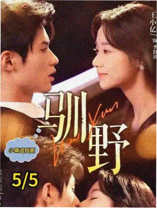 深圳影视公司悬疑剧白鹭未眠的红树林夜戏机位布置